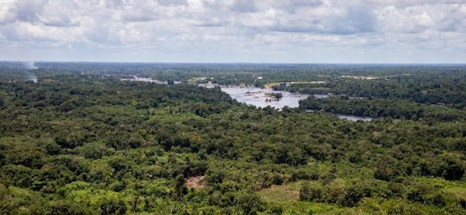 Amazonlar’da, ormansızlaştırma rekoru kırıldı