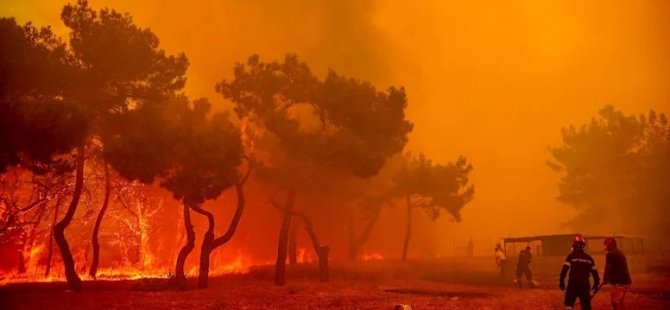 Yunanistan’da 10 yılda yaklaşık 3 milyon dönüm alan yandı