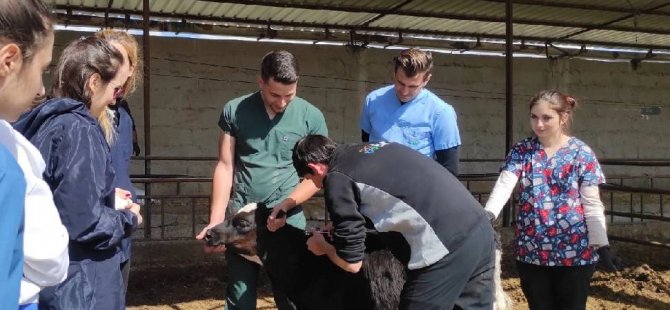 ‘Hayvan Hastalıkları Kontrol ve Eradikasyon Programı’ndaki ilerlemeler kamuoyuyla paylaşıldı