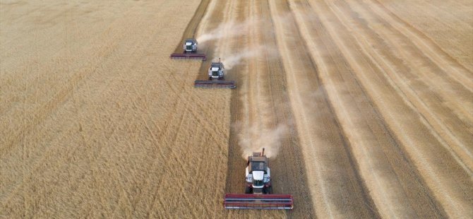 Bloomberg: Küresel buğday arzı tehdit altında