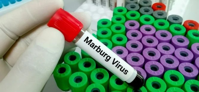 Marburg virüsü yayılmaya devam ediyor