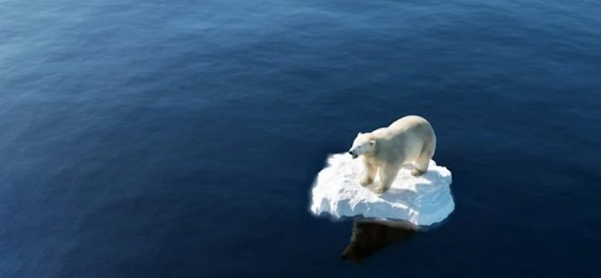 İklim değişikliği buzulların yüzde 2’sinin erimesine sebep oldu