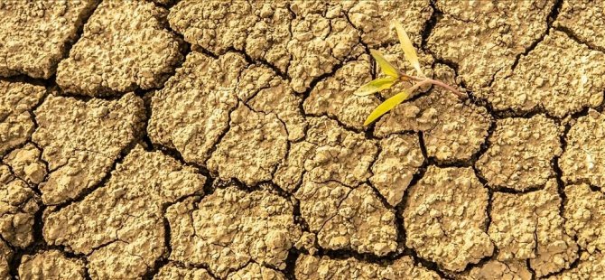 İklim değişikliği nedeniyle ani kuraklıklar hızla tekrarlanıyor