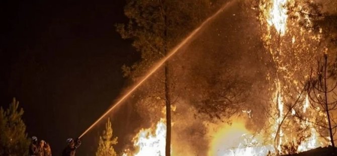 İspanya’da orman yangınları: 700 kişi tahliye edildi