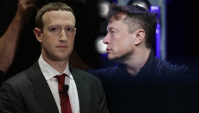Meta CEO'su Zuckerberg, Musk'ın "kafes dövüşü" teklifini kabul ettiğini söyledi