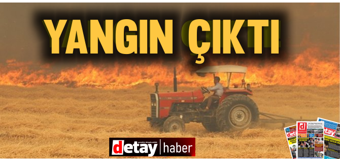 Lefke'de yangın çıktı