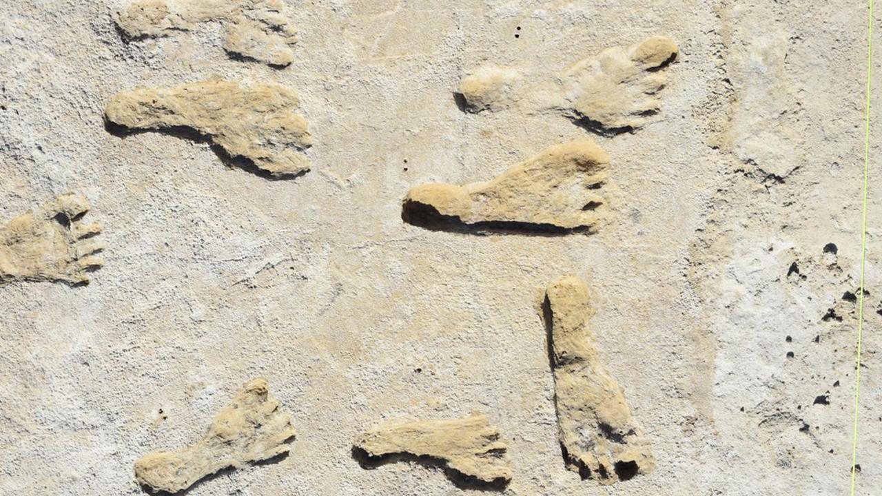 Kuzey Amerika'daki en eski insan ayak izleri en az 21 bin 500 yıllık