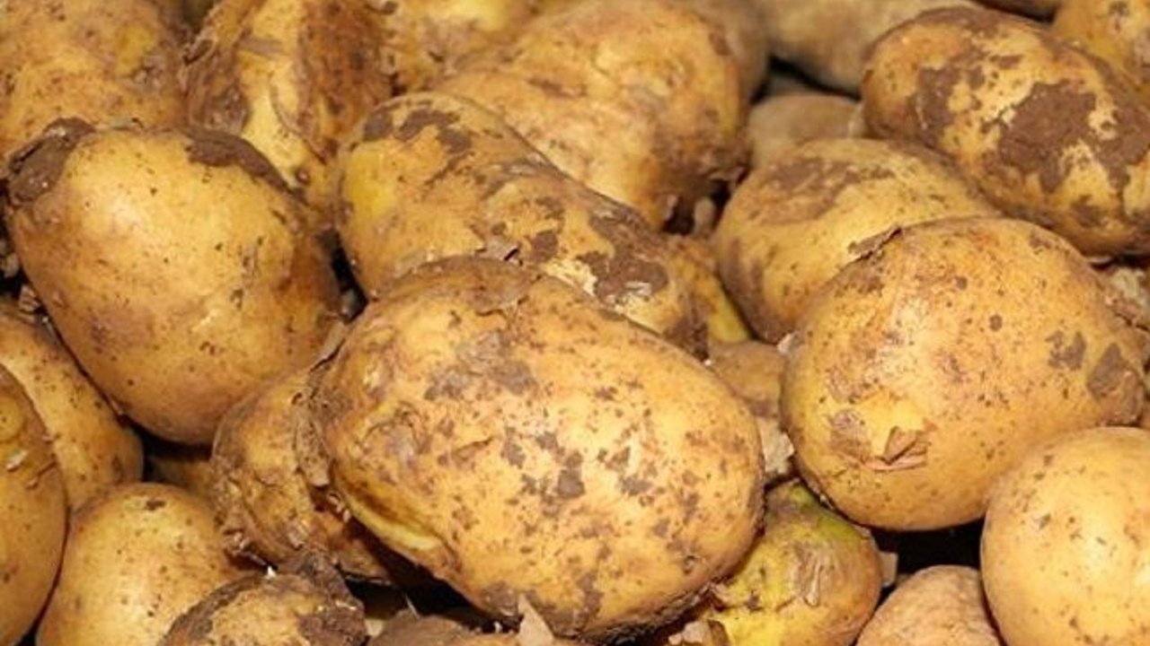 Yunanistan'da "Kıbrıs" menşeli olmayan patatesler "Kıbrıs" menşeli olarak satılıyor