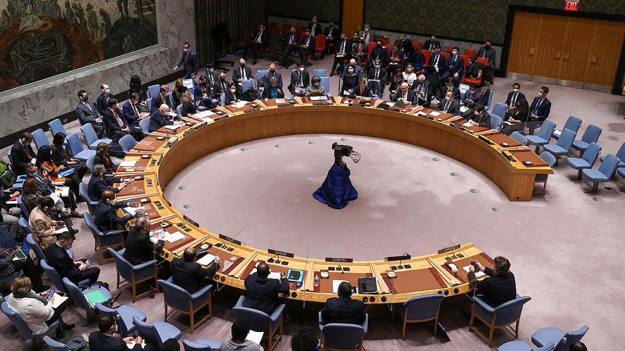 ABD, BM Güvenlik Konseyinde çatışmalara ara verilmesini isteyen tasarıyı veto etti