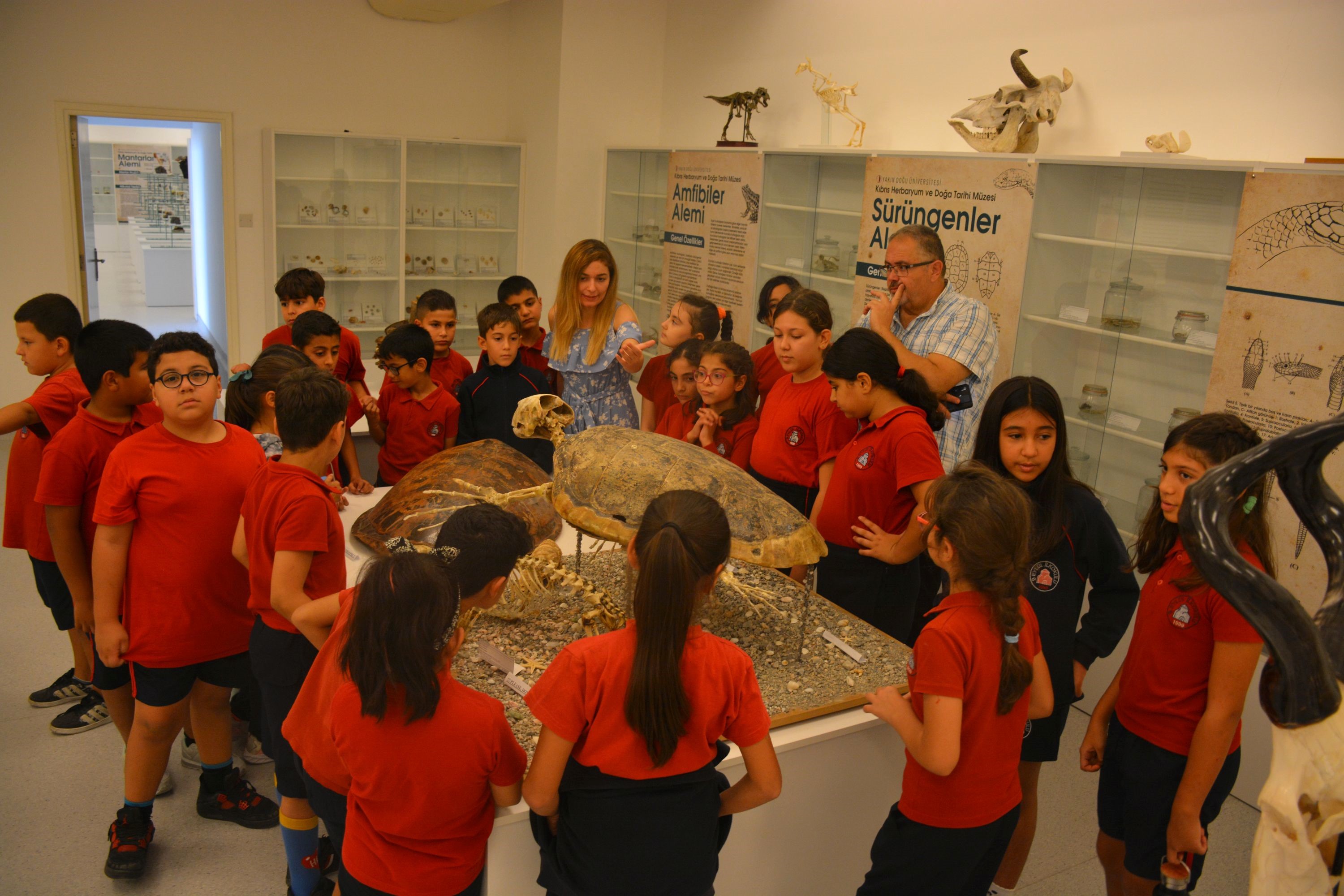 9 Eylül İlkokulu’ndan 120 öğrenci Yakın Doğu Oluşumu Müzelerini ziyaret ederek eğlenceli ve ufuk açıcı bir gezi gerçekleştirdi