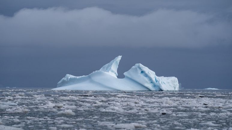 Grönland’da buzullarının erime hızı beş kat arttı