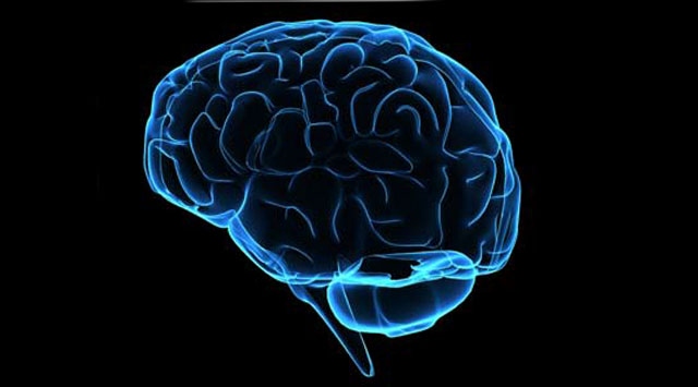 Bilim insanları bedenden bağımsız olan beyni canlı tutmayı başardı
