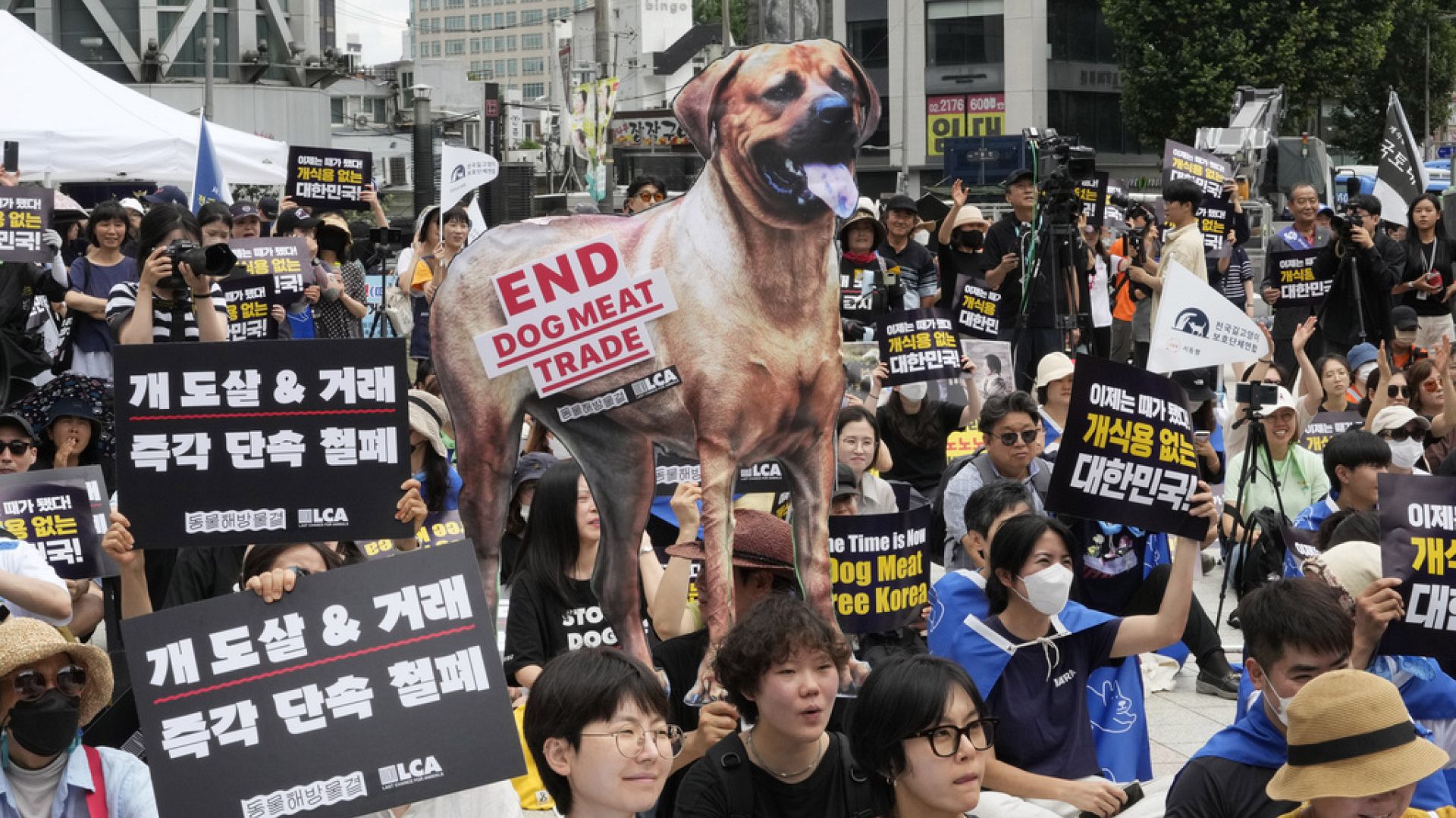 Güney Kore Meclisi, köpek eti tüketimini yasaklayan tasarıyı onayladı