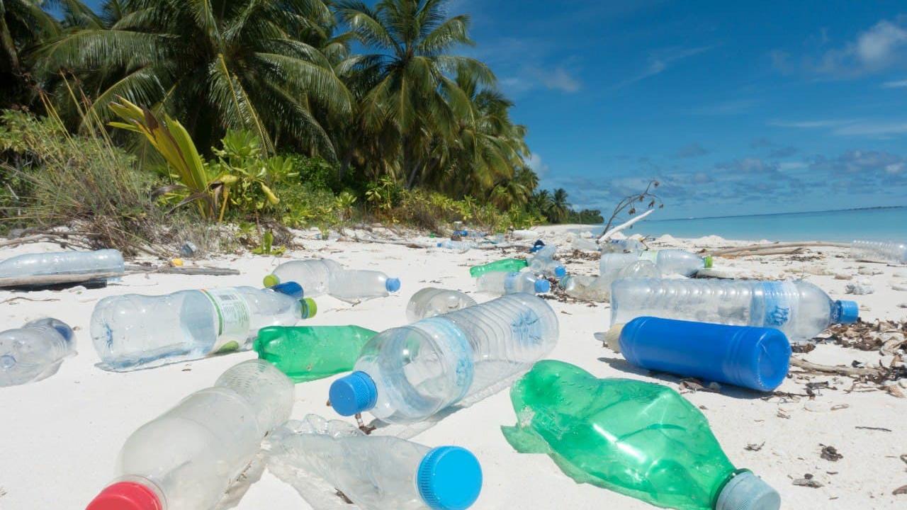 Akdeniz'deki plastik kirliliği alarm veriyor
