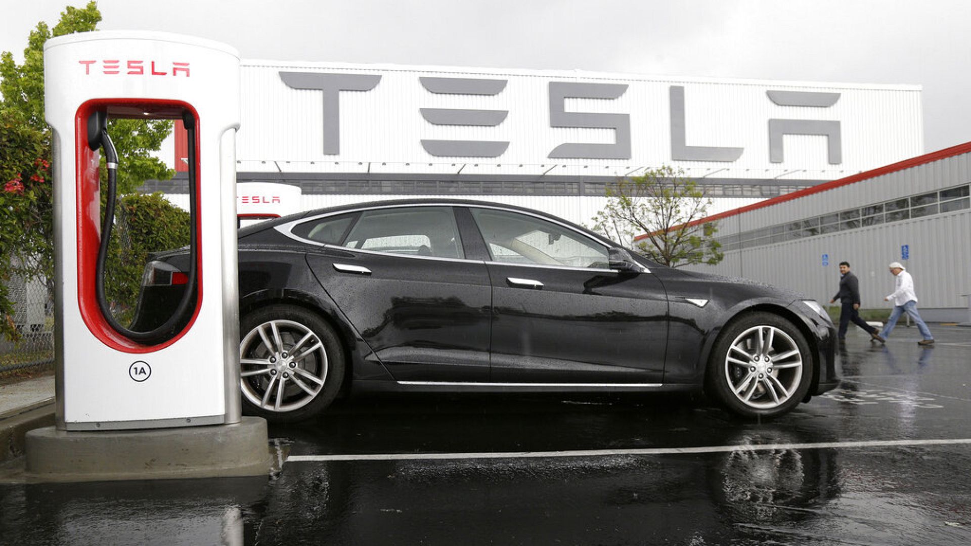 Elon Musk: Önlem alınmazsa Çinli elektrikli otomobil üreticileri rakiplerini yok edecek