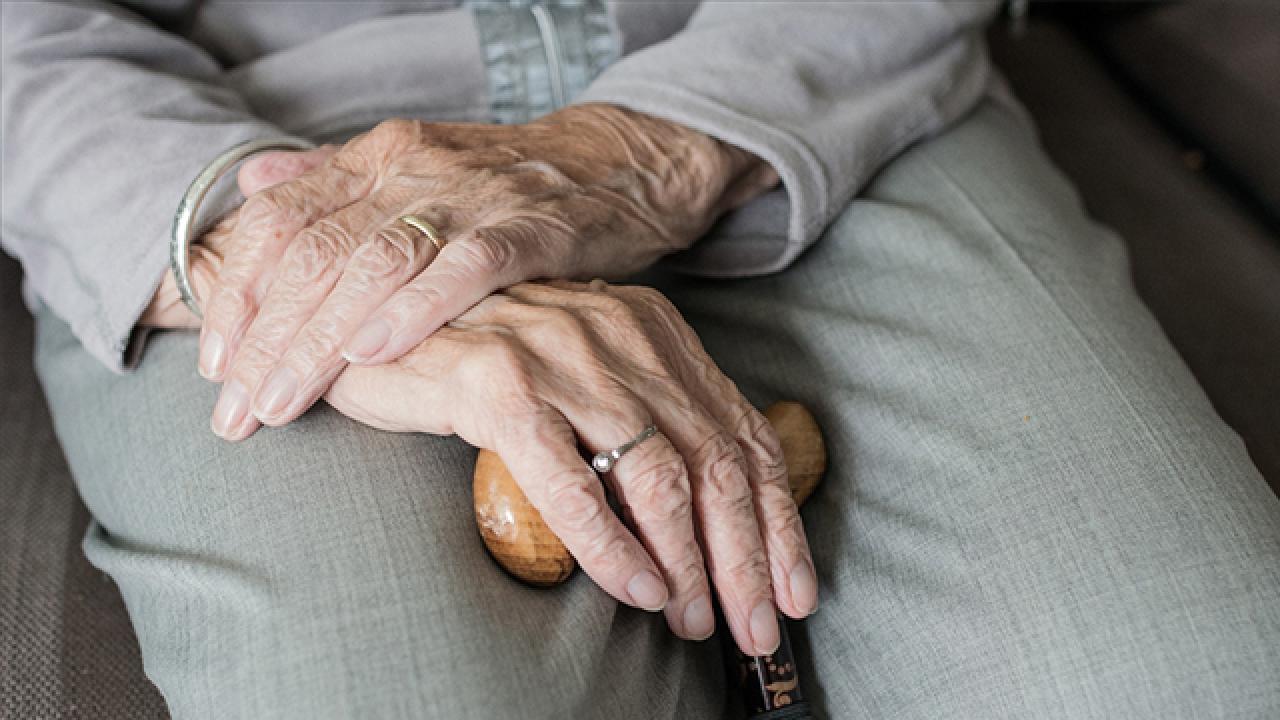 Japonya'da "yaşlıların yalnızlığına" çözüm aranıyor
