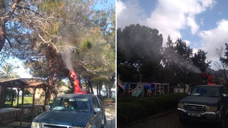 Lapta-Alsancak-Çamlıbel Belediyesi’nin çam kese böcekleriyle mücadelesi başladı