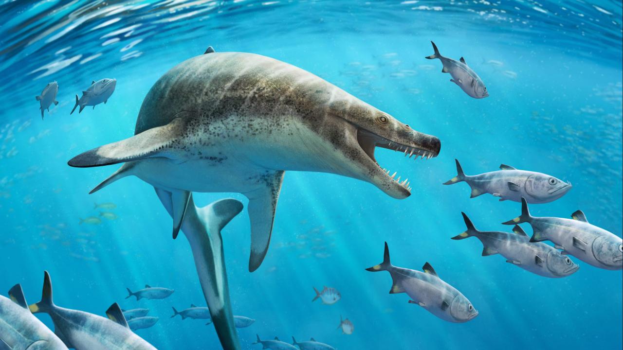 Dinozor çağında yaşamış "korkunç yüzlü" dev deniz kertenkelesi türü keşfedildi