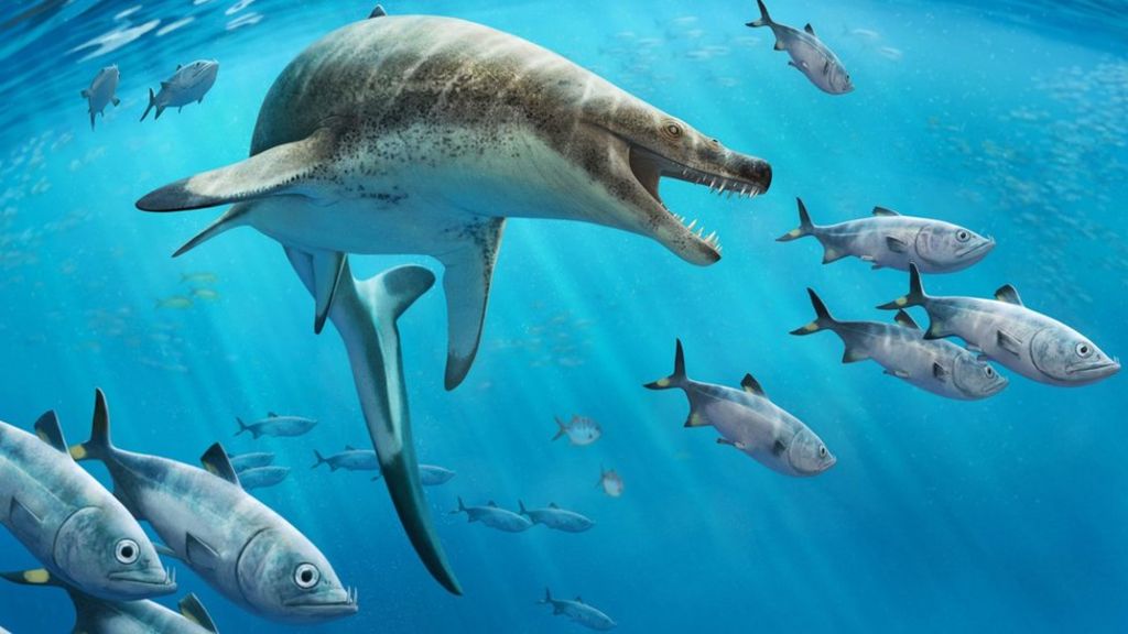 66 milyon yıl önce yaşamış ‘canavar’ deniz kertenkelesinin fosili bulundu