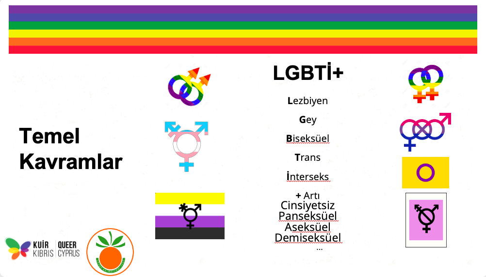 Kuir Kıbrıs Derneği, “LGBTİ+ Mitler ve Gerçekler, Farkında Mıyız?” Tematik Tartışma Etkinliğini Gerçekleştirdi. 