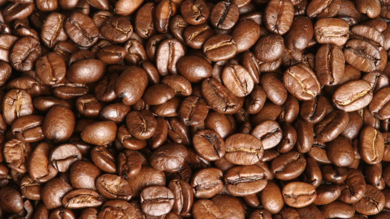 Dünyanın en popüler kahvesinin izi 600 bin yıl önceye kadar sürüldü