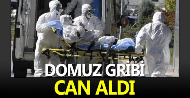 Domuz Gribi Can Aldı