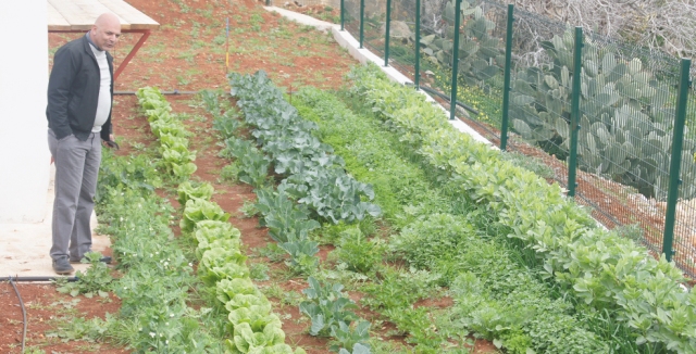 İlk tohumlar gün yüzüne çıktı