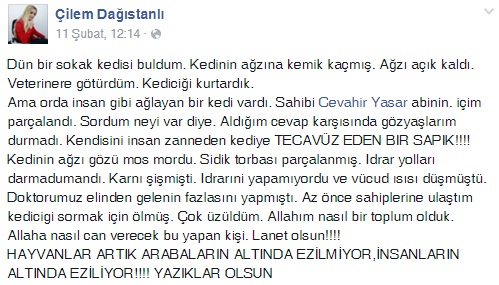 Kediye tecavüz edildi!