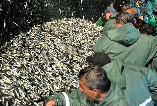 Balıkçılar "Vira Bismillah" dedi