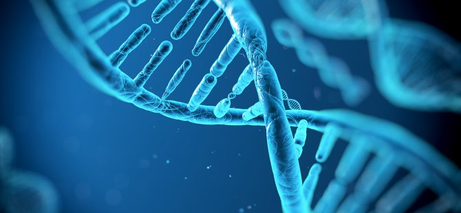 Microsoft DNA'da veri depolamak istiyor!