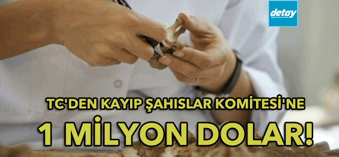 TC'den Kayıp Şahıslar Komitesi'ne 1 milyon Dolar!