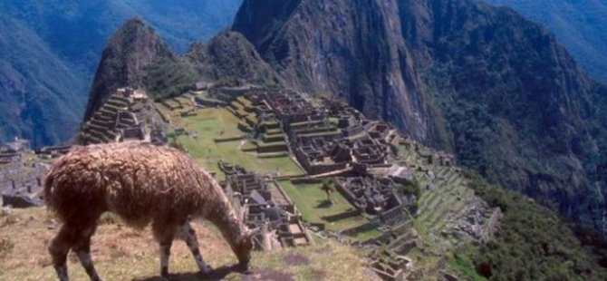 Machu Picchu'da 'uçuş selfiesi' çekerken uçurumdan düştü