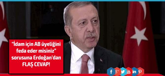 Erdoğan El Cezire canlı yayınına katıldı, bombayı patlattı!
