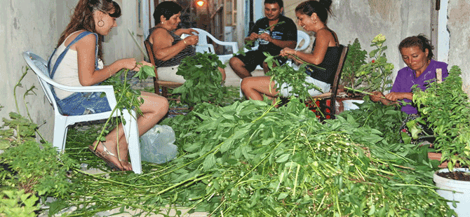 Demirhan’da molohiya üreticileriyle toplantı düzenleniyor