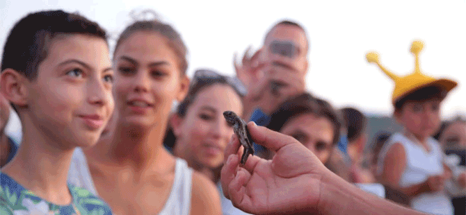 Caretta'lar yeni yaşamlarına ilk adımlarını attı