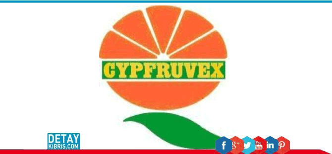 Cypruvex çalışanlarının maaşlarını hala ödemedi!