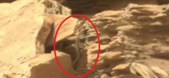 Mars'tan yılan görüntüsü geldi!