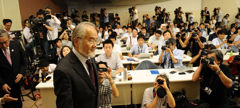 Nobel Tıp Ödülü, Japon bilim adamı Yoshinori Ohsumi'ye verildi.