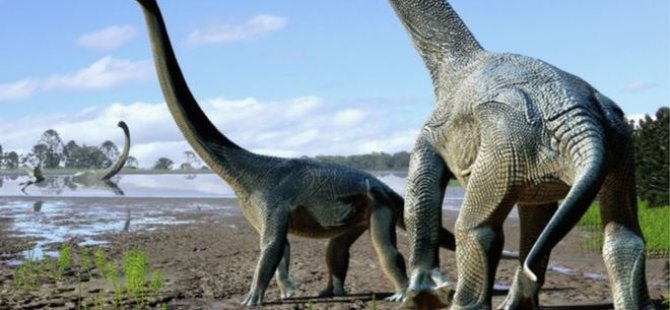 'Kıtaları aşan' dev dinozorlar bulundu