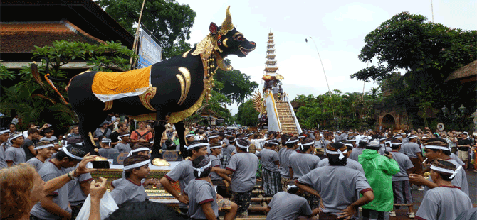 Endonezya'da "Tanrıları Halkla Buluşturma" töreni