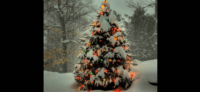 Ukrayna'da "Noel" ateşkesi
