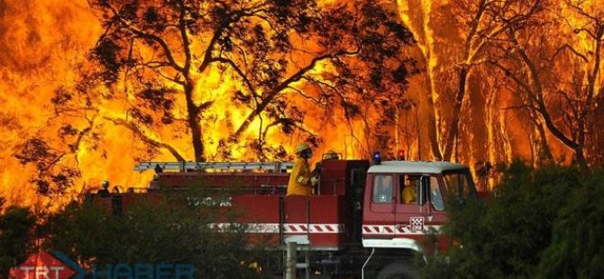 Avustralya'daki orman yangınlarının yol açtığı zarar 20 Milyon Dolardan fazla