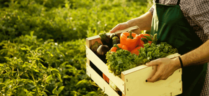 Organik tarım yapmak isteyen üreticilerden başvuru kabul ediliyor