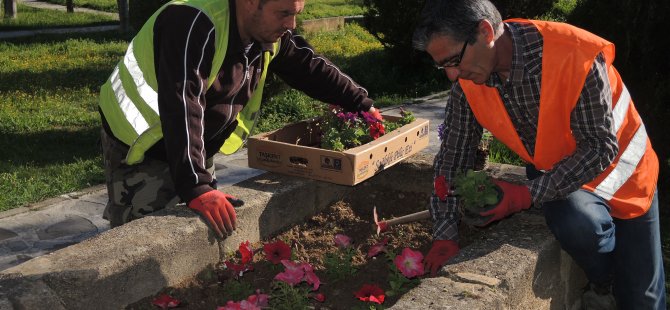 Girne'de çiçek ekimi sürüyor