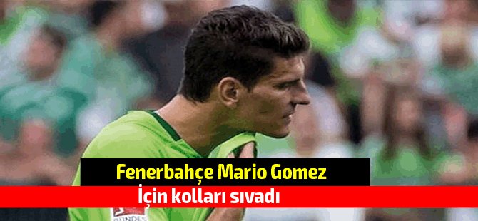 Fenerbahçe Mario Gomez için kolları sıvadı