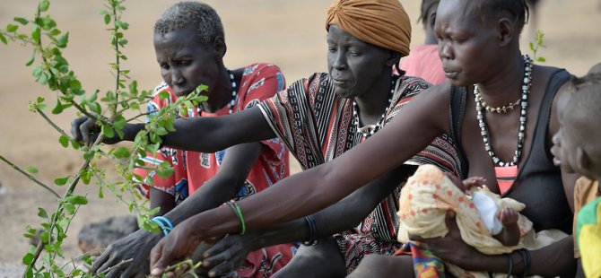 Güney Sudan'da köy halkı ağaç yapraklarıyla besleniyor