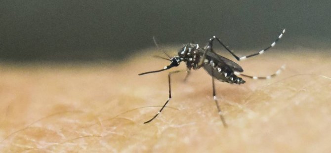 Endonezya’da sıtma uyarısı