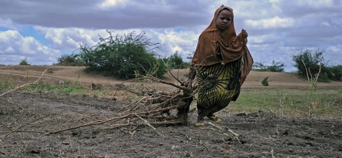 Somali'de 6,2 milyon kıtlık tehdidi altında