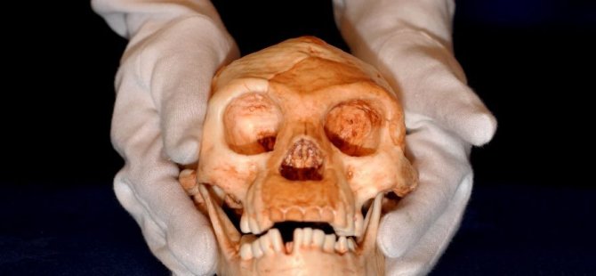 Homo floresiensis için çarpıcı araştırma: 1 metrelik insanlar atamız mı?