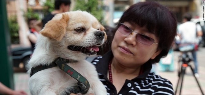 Çin'de birden fazla köpek beslemek yasaklandı
